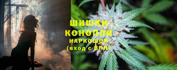 гидра Семёнов