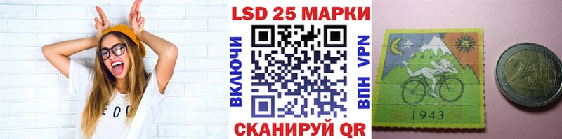 дарнет шоп  Завитинск  Марки NBOMe 1,8мг 
