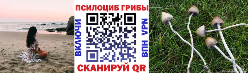 Галлюциногенные грибы MAGIC MUSHROOMS гидра маркетплейс Завитинск